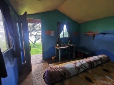 room 2 c-1764663613809.jpeg