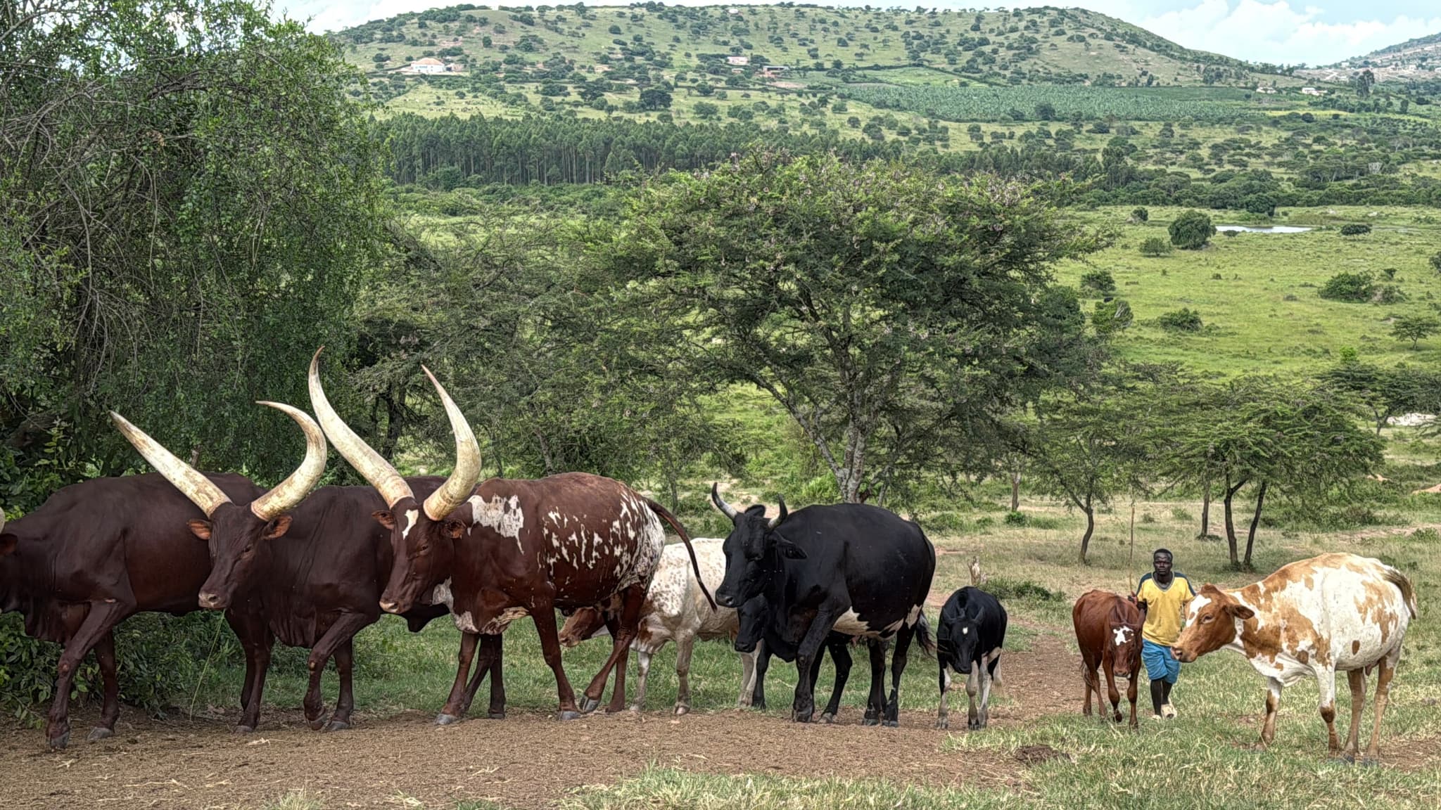 Lunch on the Land: A Farm Visit Through Generations