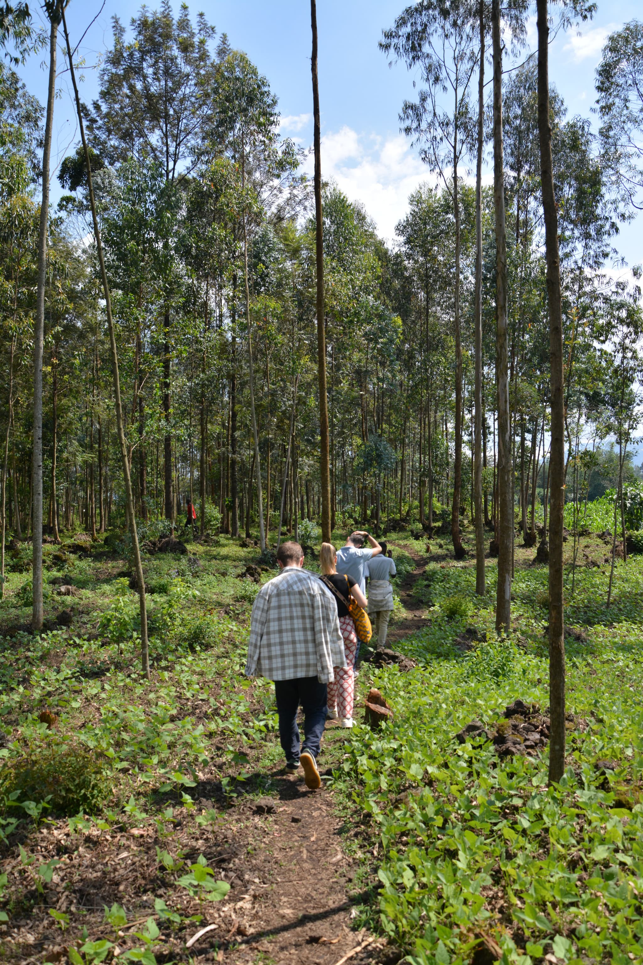 Rugarika Mountain Hiking