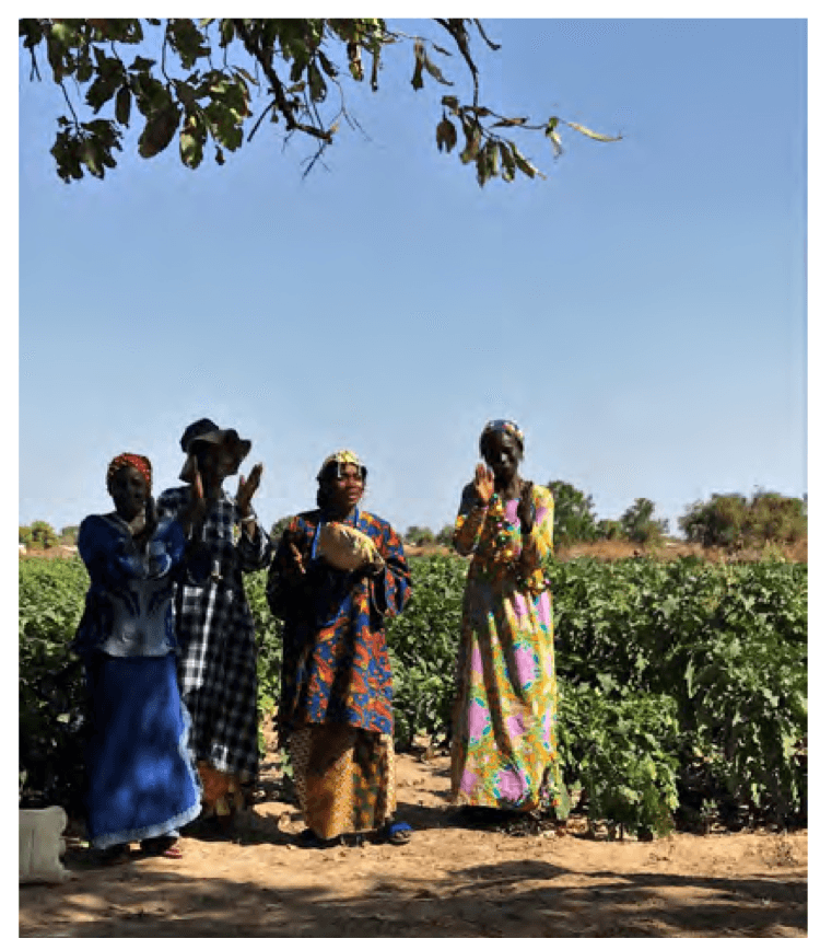 Gambia 4-1763559976058.png