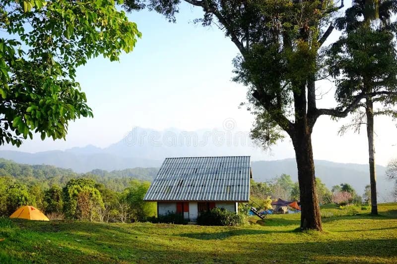 Homestay with Me