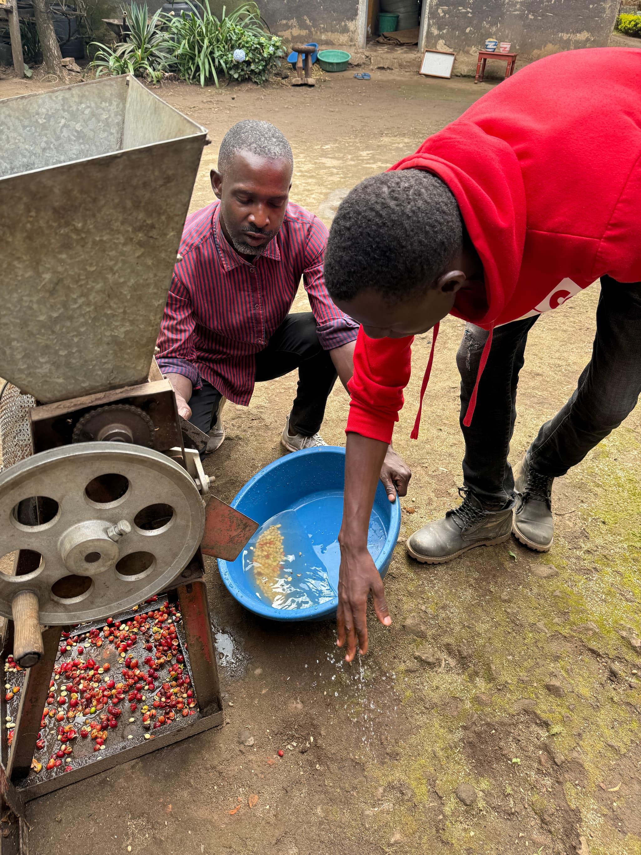 The Bean to Cup Experience