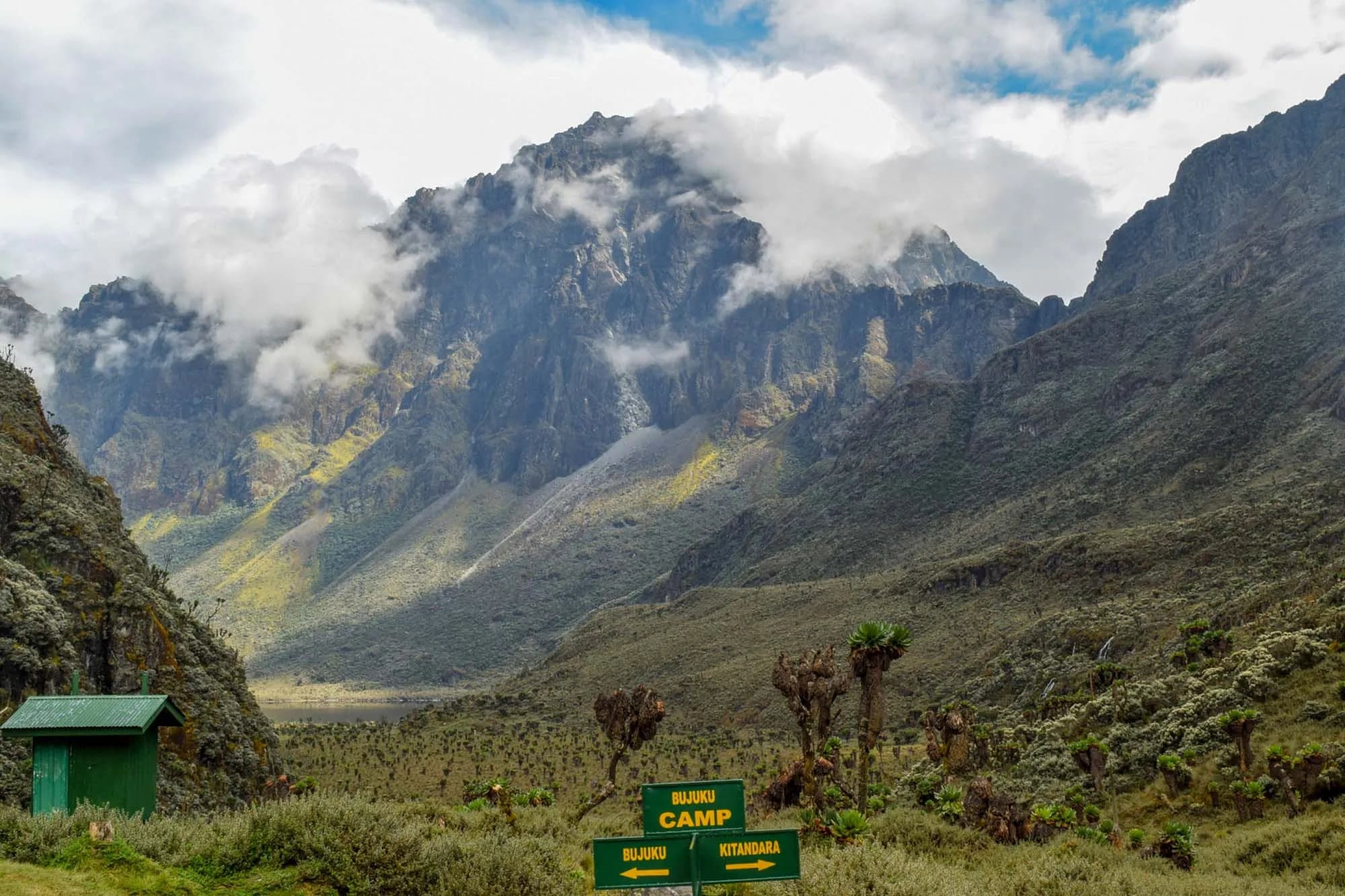 Pathways of the Peaks The Soul of the Rwenzoris with Ruboni Community (4)-1773671192562.webp
