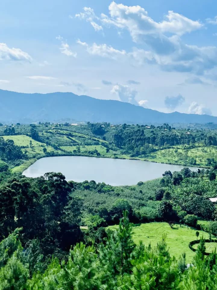 From the Canopy to the Clouds of Tooro A Journey of Primate Wonders and Rwenzori Peaks (1)-1773818215922.webp