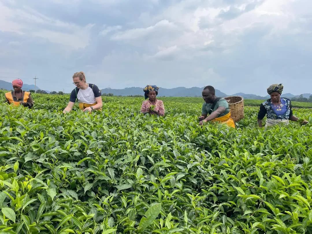 The Legacy Trail From Buhwejuâs Emerald Heights to the Savannahs of Queen Elizabeth (3)-1773844013657.webp