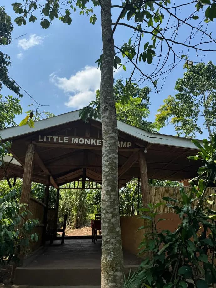 Little Monkey Camp