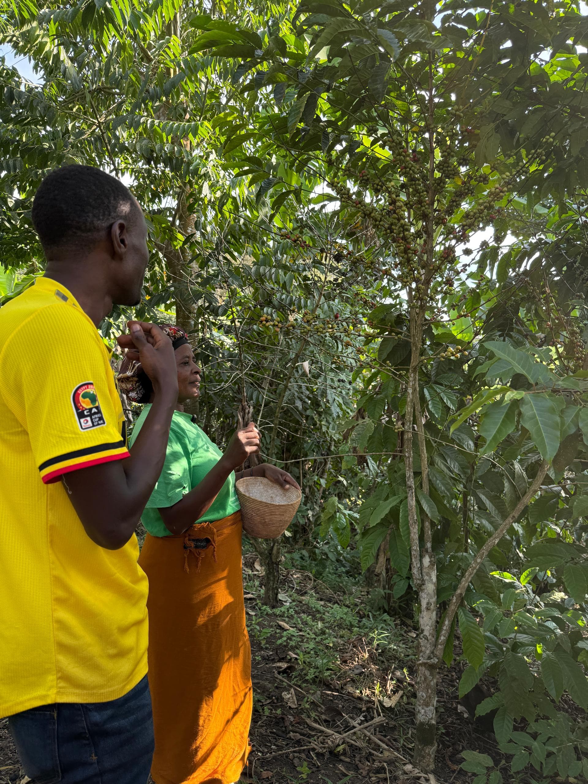 Bicowa Coffee Guided Farm Experience